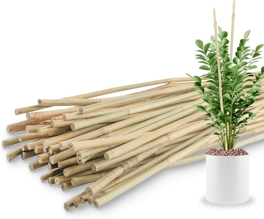 Bamboo stick