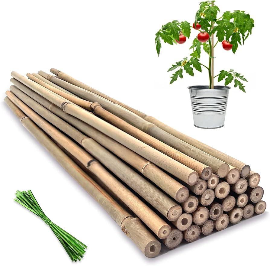 Bamboo stick